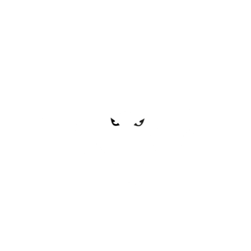 Betalfa Trading